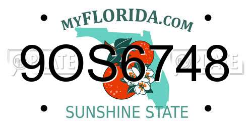 9OS6748 Florida License Plate