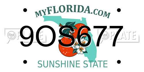 9OS677 Florida License Plate