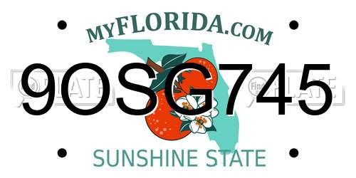 9OSG745 Florida License Plate