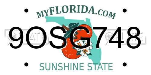 9OSG748 Florida License Plate