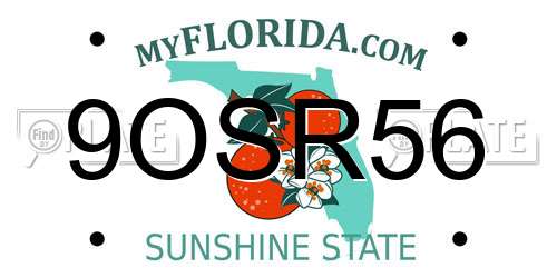 9OSR56 Florida License Plate