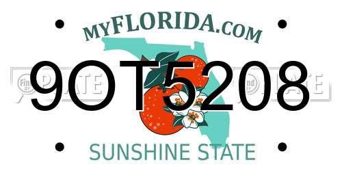 9OT5208 Florida License Plate