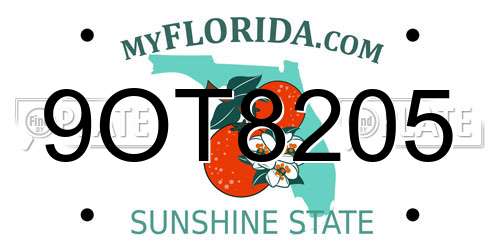 9OT8205 Florida License Plate