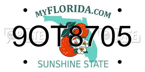 9OT8705 Florida License Plate