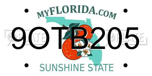 9OTB205 Florida License Plate
