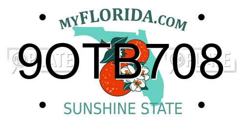 9OTB708 Florida License Plate