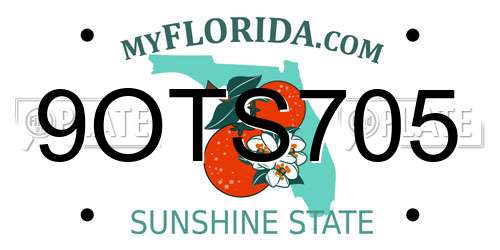 9OTS705 Florida License Plate