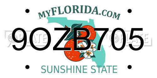 9OZB705 Florida License Plate