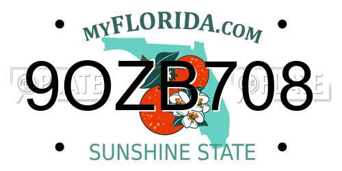 9OZB708 Florida License Plate