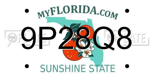 9P28Q8 Florida License Plate