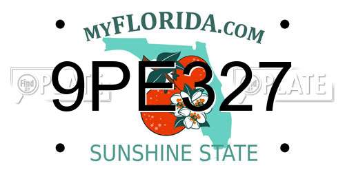 9PE327 Florida License Plate