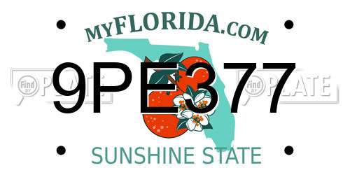 9PE377 Florida License Plate