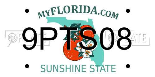 9PTS08 Florida License Plate
