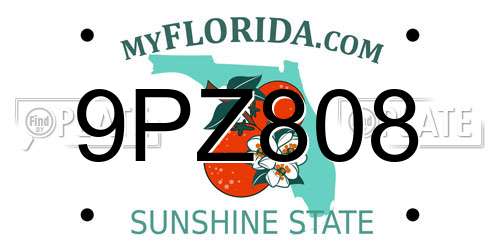 9PZ808 Florida License Plate