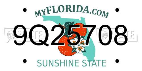 9Q25708 Florida License Plate