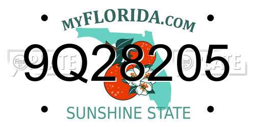 9Q28205 Florida License Plate