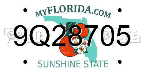 9Q28705 Florida License Plate