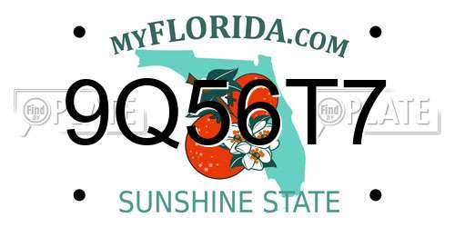 9Q56T7 Florida License Plate