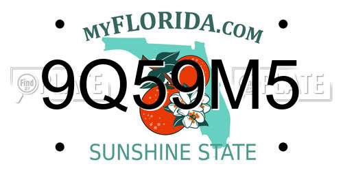 9Q59M5 Florida License Plate