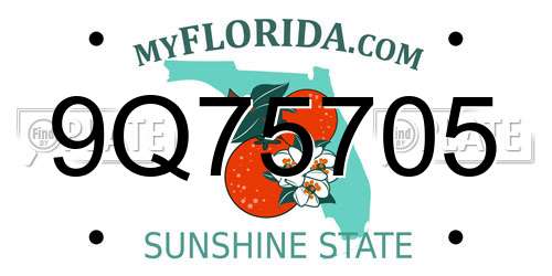 9Q75705 Florida License Plate