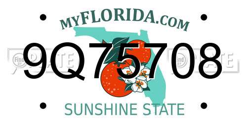 9Q75708 Florida License Plate