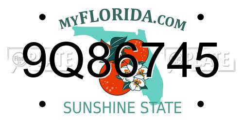 9Q86745 Florida License Plate