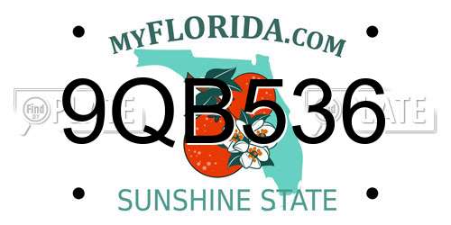 9QB536 Florida License Plate