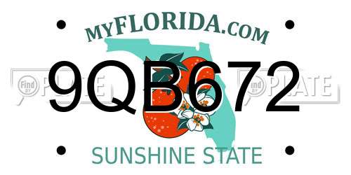 9QB672 Florida License Plate