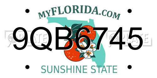 9QB6745 Florida License Plate