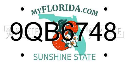 9QB6748 Florida License Plate