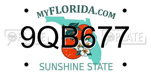 9QB677 Florida License Plate
