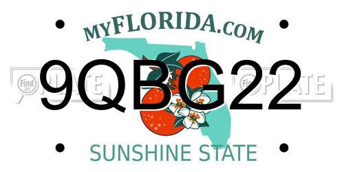 9QBG22 Florida License Plate