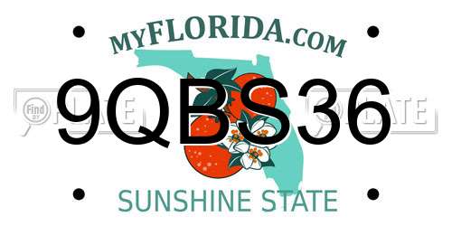 9QBS36 Florida License Plate