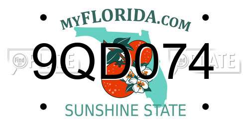 9QD074 Florida License Plate