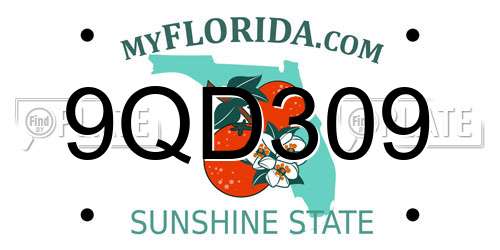 9QD309 Florida License Plate