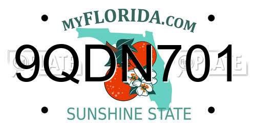 9QDN701 Florida License Plate