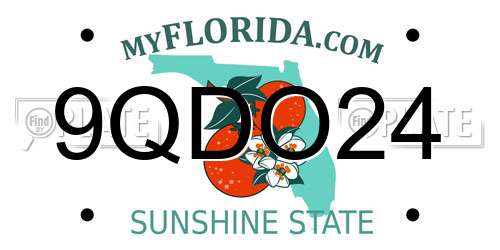 9QDO24 Florida License Plate