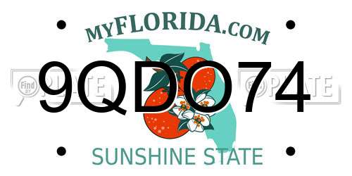 9QDO74 Florida License Plate