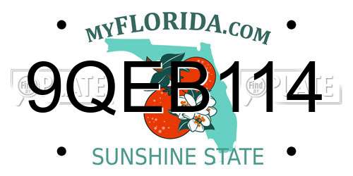 9QEB114 Florida License Plate