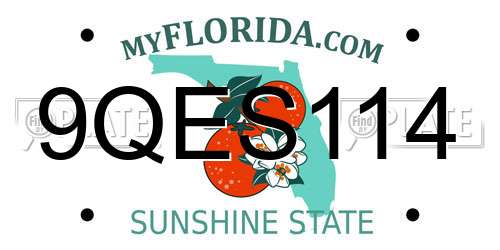9QES114 Florida License Plate