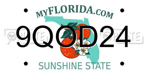 9QOD24 Florida License Plate