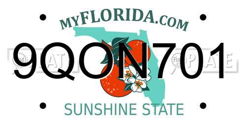 9QON701 Florida License Plate
