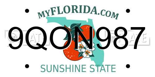 9QON987 Florida License Plate