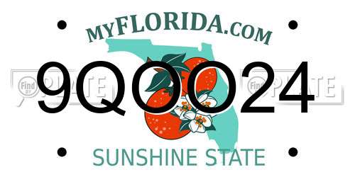 9QOO24 Florida License Plate