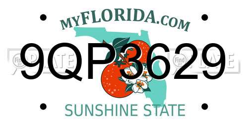 9QP3629 Florida License Plate