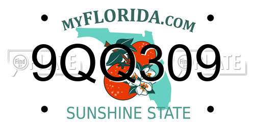 9QQ309 Florida License Plate
