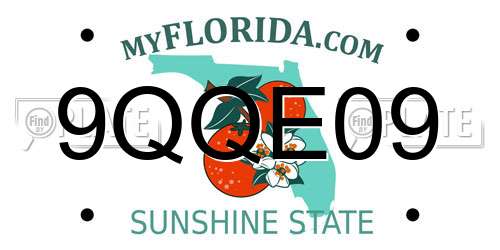 9QQE09 Florida License Plate