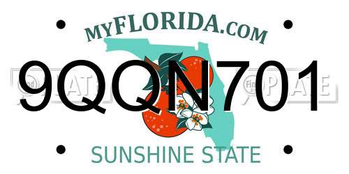 9QQN701 Florida License Plate