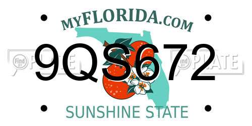 9QS672 Florida License Plate