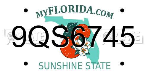 9QS6745 Florida License Plate